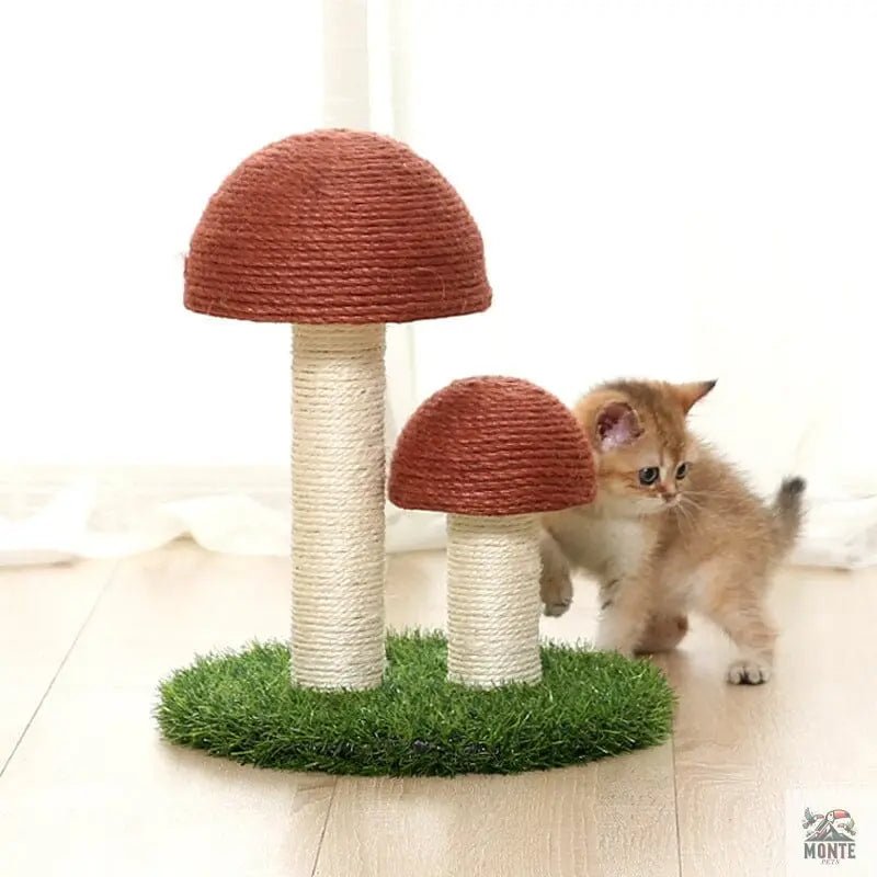 Kratzbaum – Mushroom Delight Kaffeebraun M/L | MONTE PETS