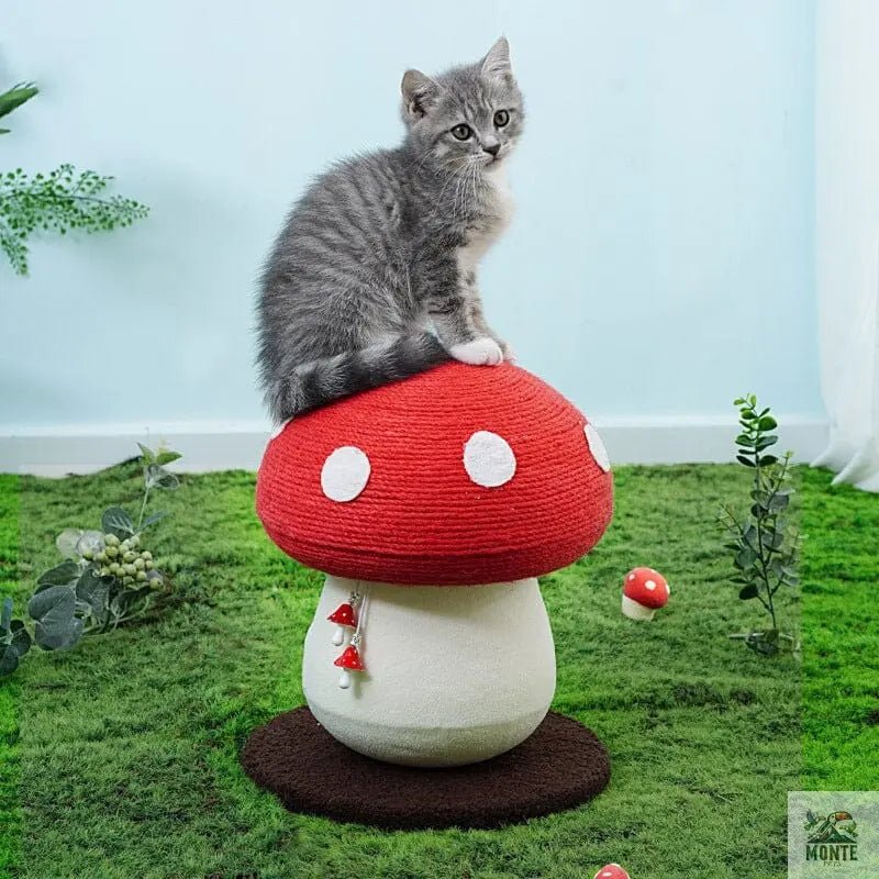 Kratzbaum Zauberpilz Katze | MONTE PETS