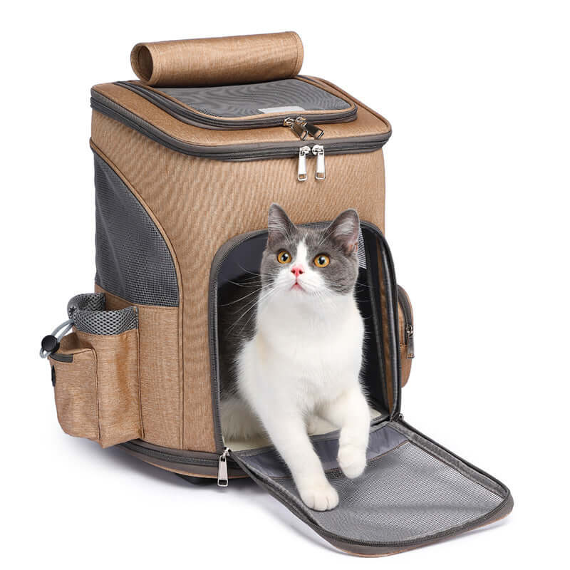 Praktischer Hunter Trolley Rucksack mit Katze, ideal für sicheres Reisen mit Haustieren.