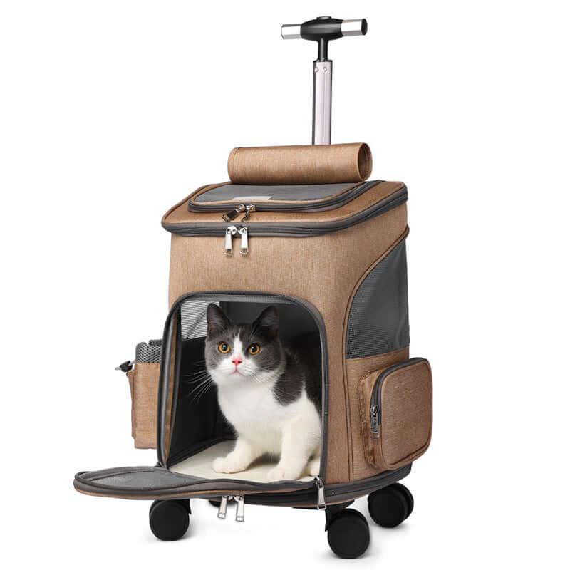 Praktischer Hunter Trolley Rucksack mit Katze für sicheres Reisen mit Haustieren