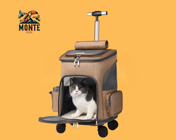 Praktischer Trolley Rucksack mit Katze im Inneren für sicheres Reisen mit Haustieren von MONTE PETS