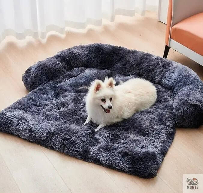 Hund Couch Wohlfühl Oase Grau mit weißem Hund auf flauschiger Oberfläche in gemütlichem Raum